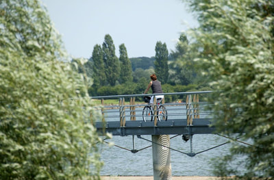 Balade à vélo au Lac du Der - © collection Lac du Der - Pascal Bourguignon