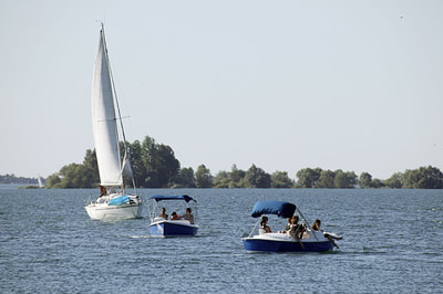 Balades en bateau au Lac du Der - © collection Lac du Der - Pascal Bourguignon